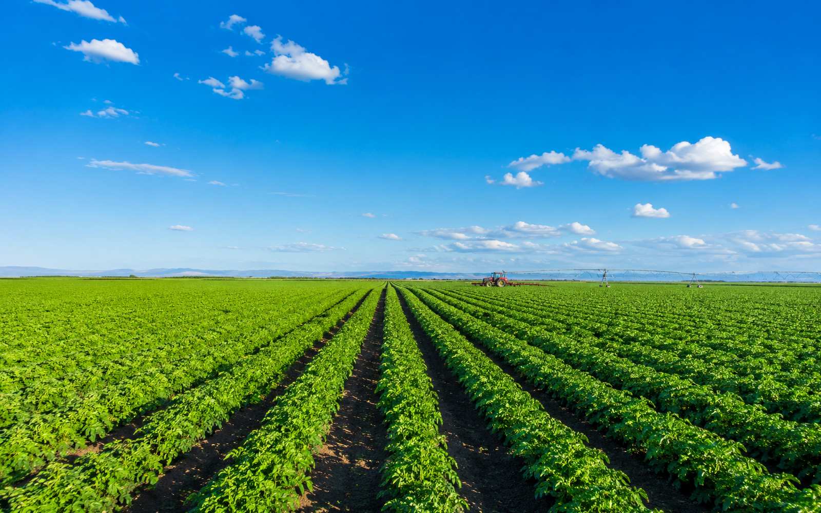 Invertir en tierra y producción: el activo real que alimenta a la economía